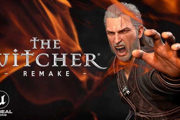 The Witcher