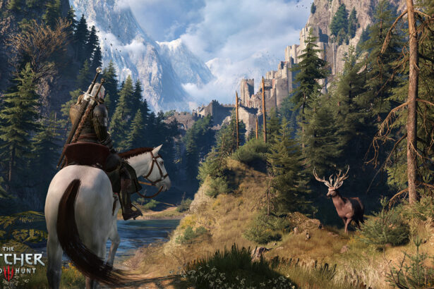 The Witcher 3