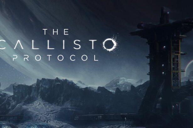 The Callisto Protocol