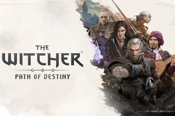 The Witcher: Path of Destiny